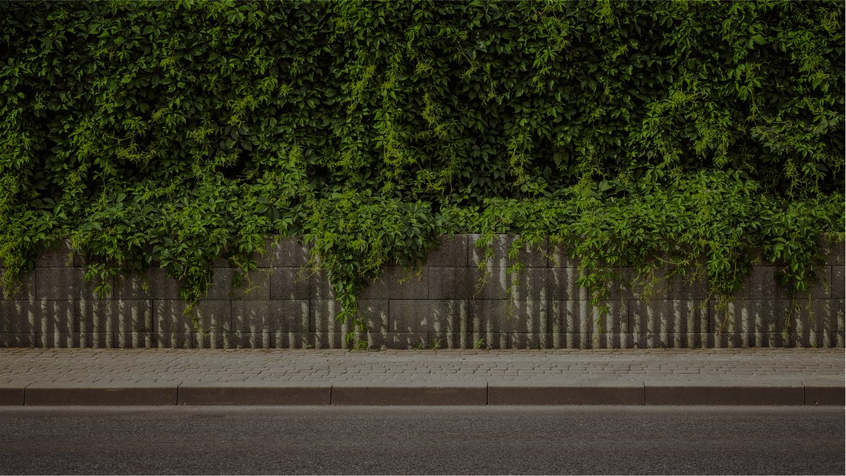 Blick nach außen mit 20% Lichtdurchlässigkeit
