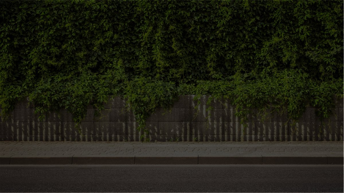 Blick nach außen mit 5% Lichtdurchlässigkeit