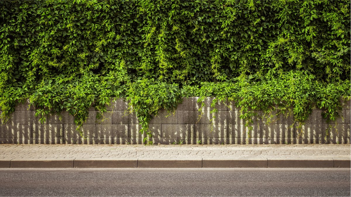 Blick nach außen ohne Folie – volle Sicht